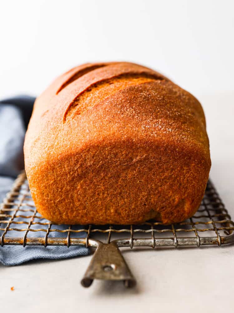 This Sprouted Wheat Bread is fluffy, moist, and full of rich flavor! If you are a skeptic of whole wheat bread because you've tried store-bought in the past, get ready to change your mind! I promise even picky eaters love the nutty flavor and soft texture of this homemade bread. Sprouted Whole Wheat bread loaf sitting on a wire rack with a blue tea towel underneath