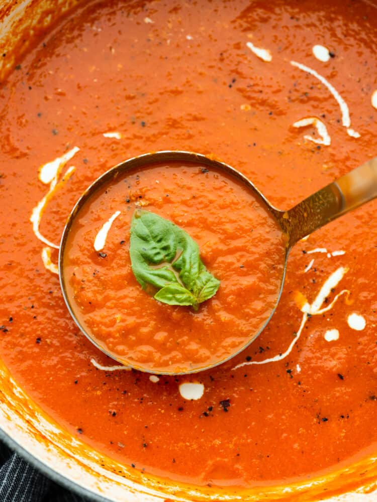 Tomato basil soup is a healthy classic that's simple to make from scratch and full of flavor! It only takes just over half an hour. The whole family will enjoy it as the temperatures drop and the evenings become crisper. Closeup of a ladle filled with soup. There is a piece of basil in the ladle.
