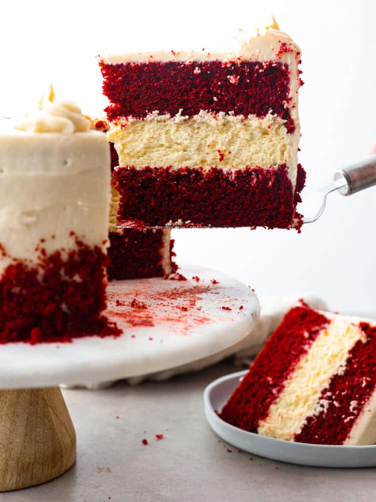 Can’t decide between red velvet cake and cheesecake? Why not both! This dreamy dessert is made with layers of moist red velvet cake and rich cheesecake topped with a luscious cream cheese frosting. Hero image of a slice of red velvet cheesecake being served with a cake spatula.
