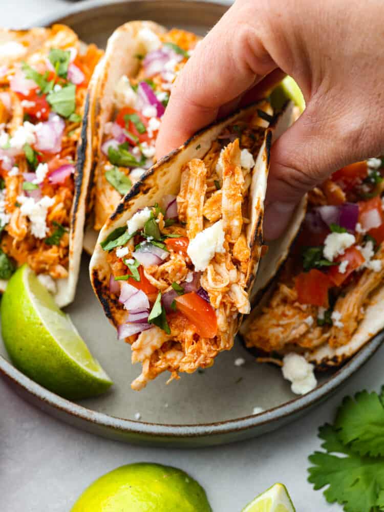 Shredded Chicken Tacos are a filling and flavorful dinner ready in just 10 minutes. The chicken is perfectly seasoned and served on a warmed tortilla topped with all of your favorite toppings. It's always a hit! A hand holding a taco over a plate of other tacos.