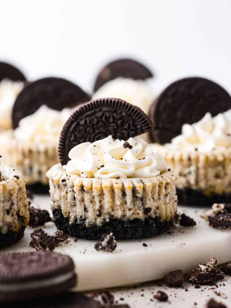 These adorable mini Oreo cheesecakes are melt-in-your mouth creamy and full of chocolate cookie flavor! Not only are they insanely good, but super easy to make as well! Be prepared for them to fly off the table in all of their smooth, chocolatey goodness. Hero image of mini cheesecakes topped with whipped cream and an Oreo.