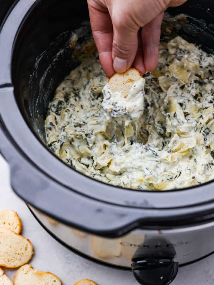 Crockpot spinach artichoke dip is the ultimate party pleaser! Not only is it delicious and creamy, but it's also super easy to make. Just toss all the ingredients in your crockpot and let it do its magic. Crostini being dipped into a a slow cooker filled with spinach artichoke dip.