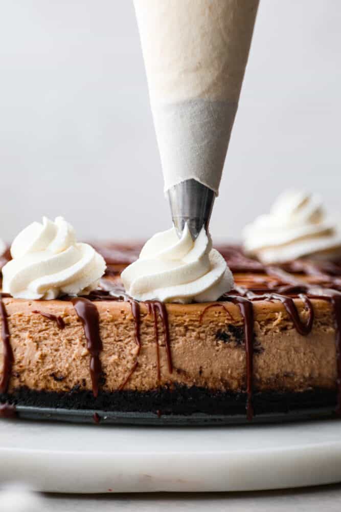 Stop running to the store for Cool Whip, this homemade Whipped Cream is so much better! It's real fresh cream without added preservatives or flavors, and it makes the perfect topping for your cakes, cobblers, and sundaes. Cream being pipes onto the top of a chocolate cheesecake.