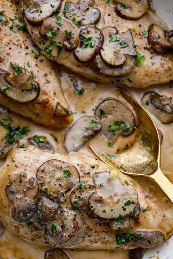Creamy Chicken Marsala is a classicย Italianย dish that is ready in under 30 minutes! Marsala wine is made into a creamy sauce paired with mushrooms for the ultimate savory bite. It's simple and easy to whip up and sure to be a crowd-pleaser! A close up of creamy chicken marsala in a bowl with a golden spoon.