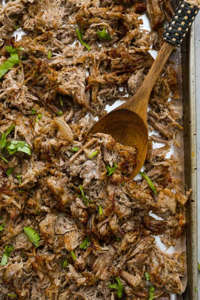 Making carnitas in an Instant Pot is foolproof. With just a few simple ingredients and the magic of pressure cooking, you can have a delicious and satisfying meal ready in no time. Make a batch of this juicy shredded pork for your next taco night, you won't regret it! Top-down view of carnitas in a baking sheet.