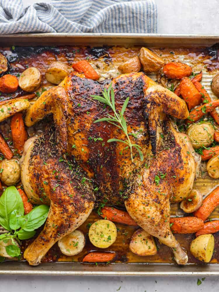 Spatchcock chicken is the secret to the most tender chicken and this method locks in all the juicy flavors. Seasoned with a delicious rub and oven-roasted to perfection this will be your new favorite way of cooking a chicken. Top view of spatchcock chicken roasted on a roasting pan and garnished with roasted carrots, potatoes, and fresh herbs.