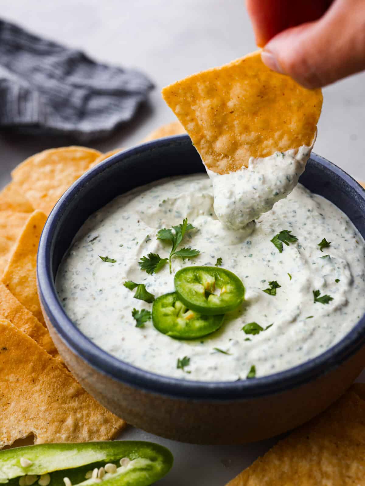 This zesty Jalapeño Dip is the ultimate crowd-pleaser! Blending cream cheese, sour cream, and canned pickled jalapenos with seasoning, it delivers a delightful mix of creaminess and heat. A bowl of dip with a tortilla chip dipping into it.