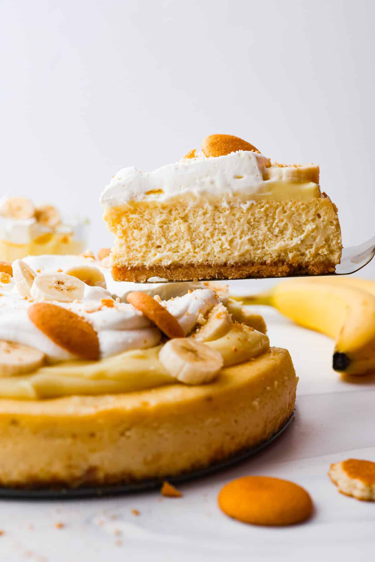 Get ready to enjoy a slice of pure dessert perfection with this Banana Pudding Cheesecake recipe. This yummy dessert has a buttery vanilla wafer crust, a velvety cream cheese filling with ripe bananas, and a classic banana pudding topping. A slice of banana pudding cheesecake being served.