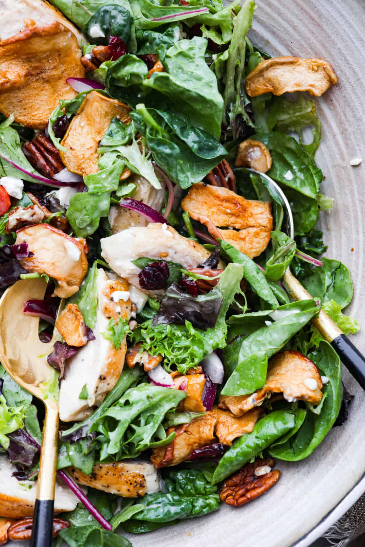 Spring greens get tossed with crisp apples, chicken, tomatoes, dried cranberries, crunchy pecans and feta cheese. This Panera Bread copycat Fuji apple chicken salad is a must-try! It's fresh, flavorful, and completely irresistible. Closeup of fuji apple chicken salad.