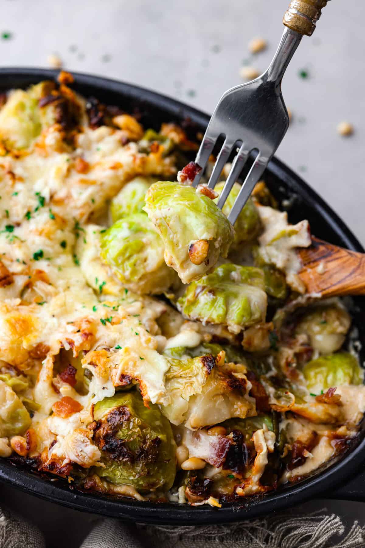 Cheesy and savory Brussels Sprout Casserole is easy to make and perfect for family dinners or holiday meals! Tender, crisp brussels sprouts are combined with pine nuts, bacon and cheese and baked until tender and golden brown. This side dish pairs with a variety of mains and is sure to be a hit! Picking up a brussels sprout with a metal fork.