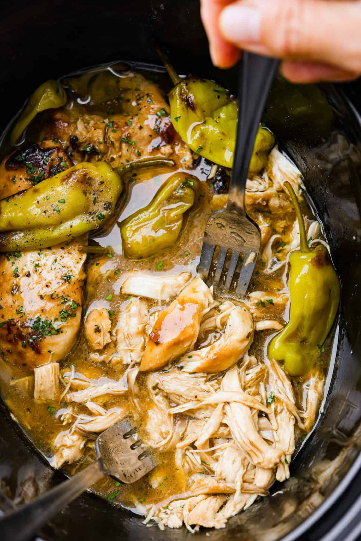 Crockpot Mississippi Chicken is all about fork-tender, juicy chicken that's bursting with flavor. You've got zesty pepperoncini peppers, ranch seasoning, au jus mix, and butter that slow cooks with it for some seriously amazing flavor. It's the perfect Southern comfort meal! Crockpot Mississippi Chicken being shredded with 2 forks.
