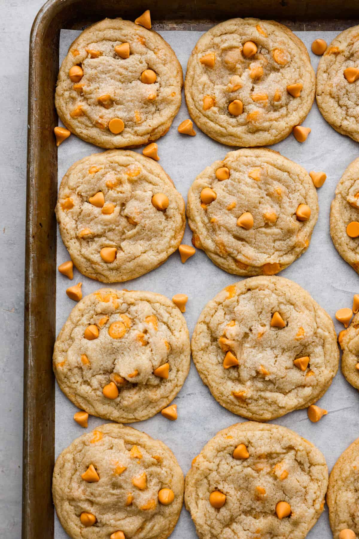 Satisfy your sweet cravings with these classic Butterscotch Cookies. Soft and chewy and packed with sweet butterscotch chips, these golden treats are easy to whip up, making them the ideal treat for any occasion. The top view of cookies on a backing sheet with parchment paper.