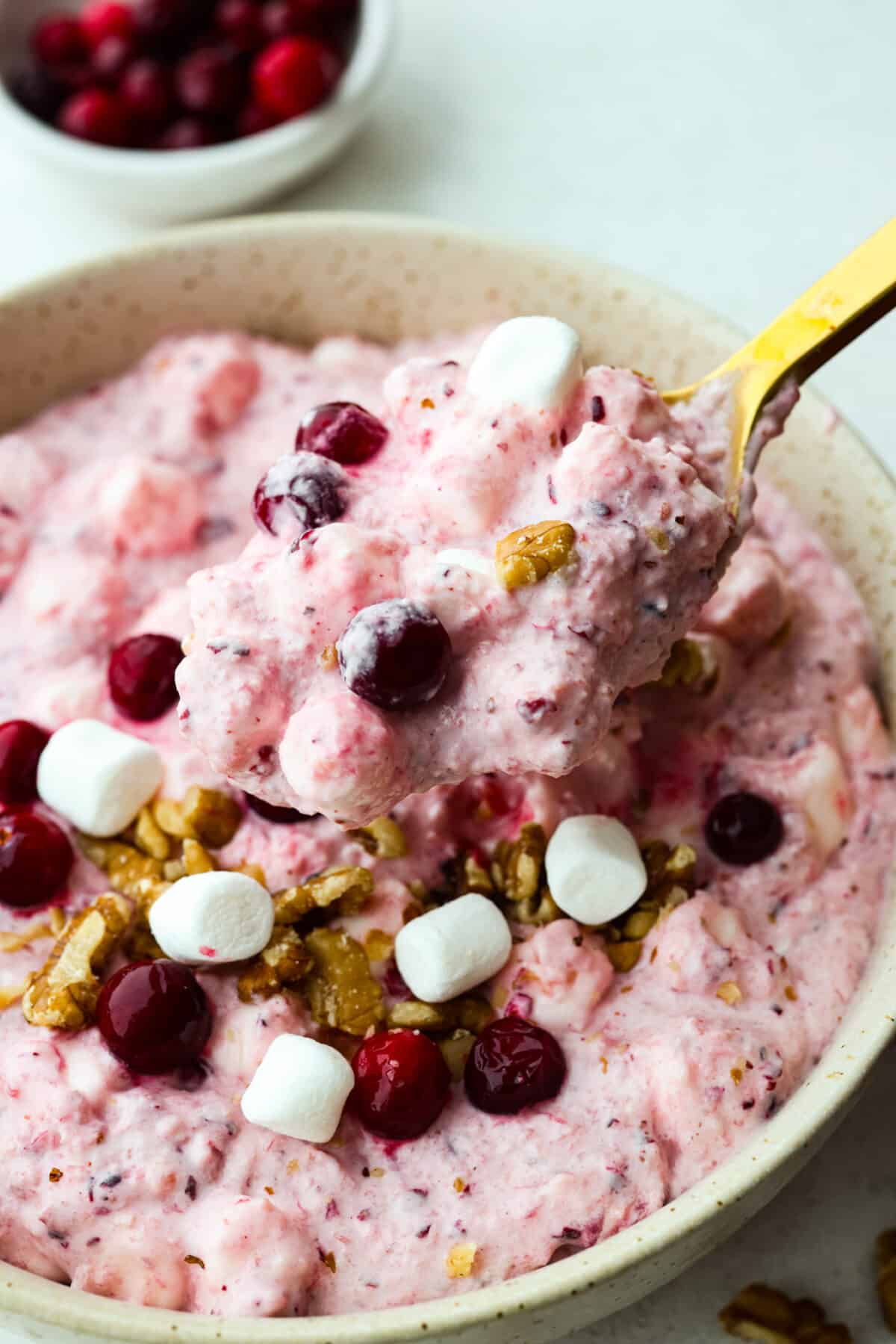 Cranberry Cheesecake Fluff is aย creamy and delicious fluff salad made with cranberries and walnuts. It is so easy to make and a MUST for the holidays! Closeup of a serving of fluff.