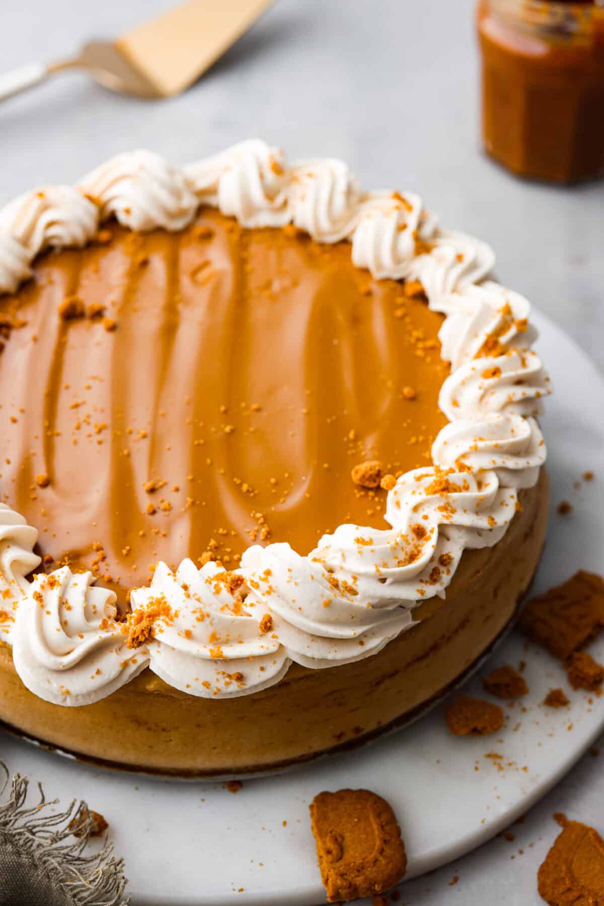 Soft, rich, and loaded with delicious cookie butter flavor, this Biscoff cheesecake is sure to please! Everyone will be lining up for a slice. A whole Biscoff cheesecake with whipped cream on top.