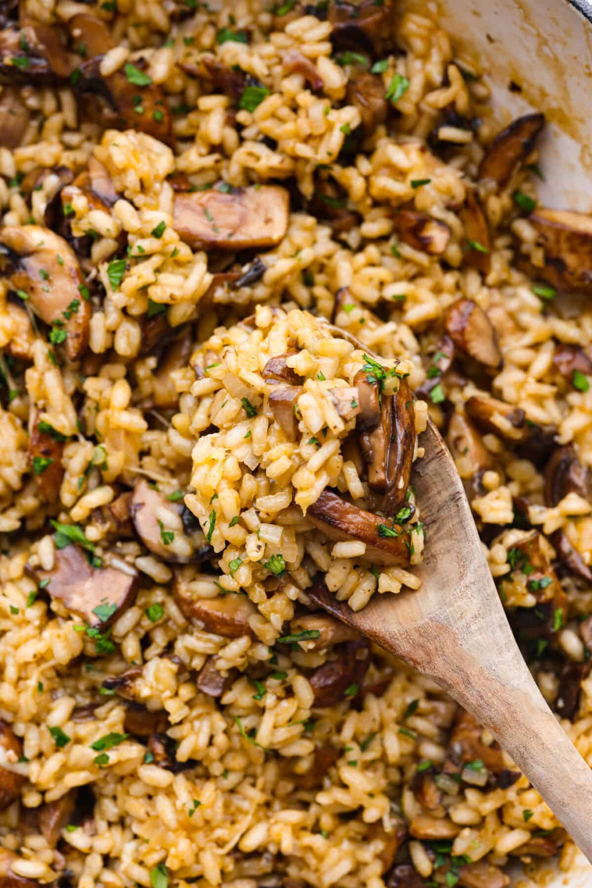 A creamy, hearty side dish that you'll want to serve with everything. Mushroom risotto is made with tender sauteed mushrooms and arborio rice simmered to perfection in a garlic, shallot, and white wine sauce. Top it off with some shredded parmesan for a tasty dish that will rival the main course! Closeup of a spoonful of creamy mushroom risotto.