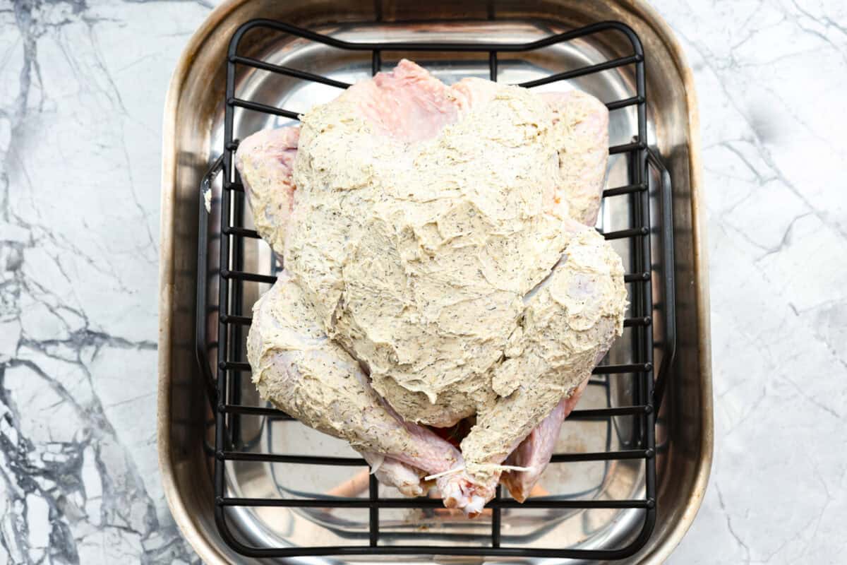 Look no further! This roasted turkey recipe is the absolute juiciest, fool-proof turkey recipe you will ever need. You'll have the confidence to make a perfect turkey every time. This deliciously seasoned turkey will be the star of your Thanksgiving meal! Tenth photo of the turkey placed in a roasting pan.
