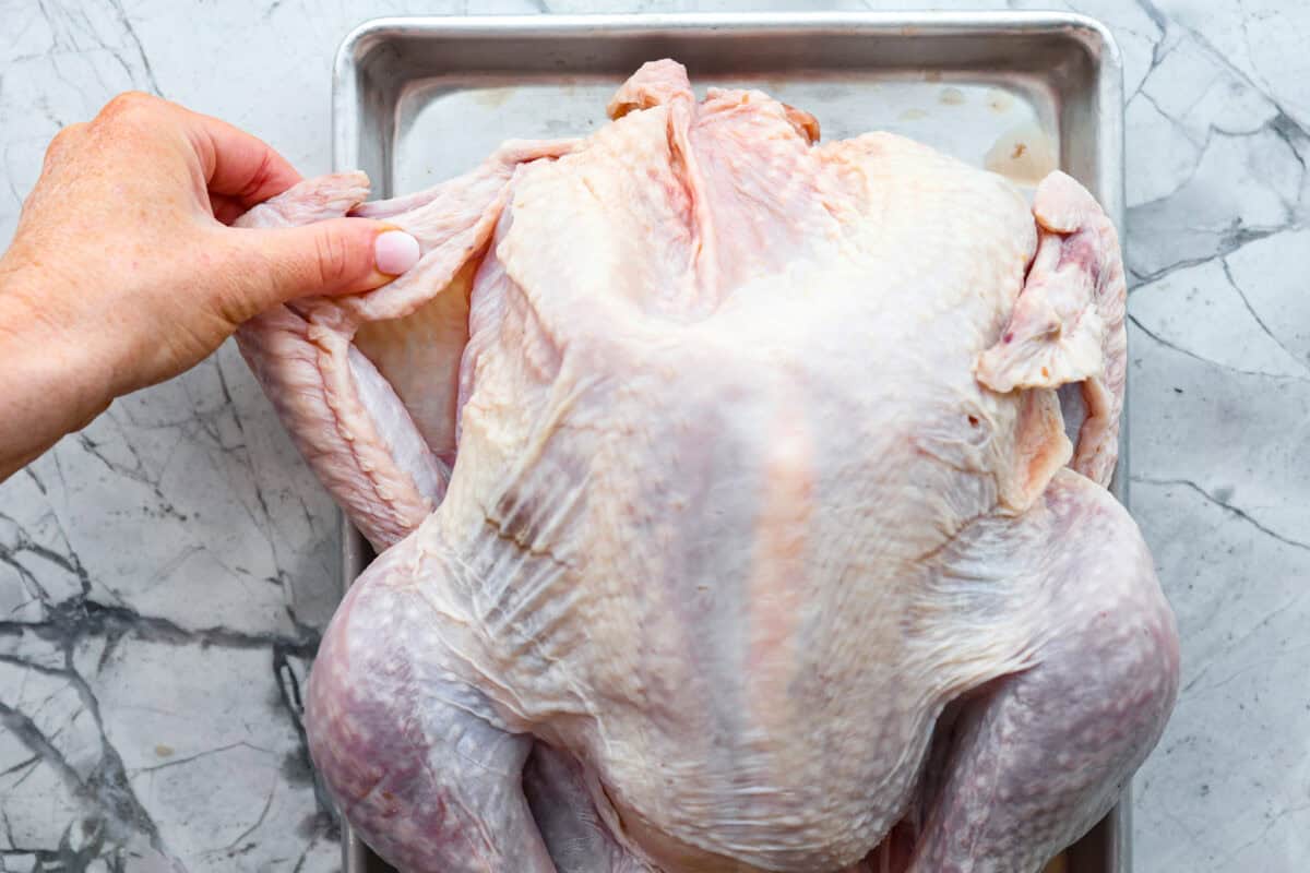 Look no further! This roasted turkey recipe is the absolute juiciest, fool-proof turkey recipe you will ever need. You'll have the confidence to make a perfect turkey every time. This deliciously seasoned turkey will be the star of your Thanksgiving meal! Fourth photo of the wings tucking underneath the turkey.