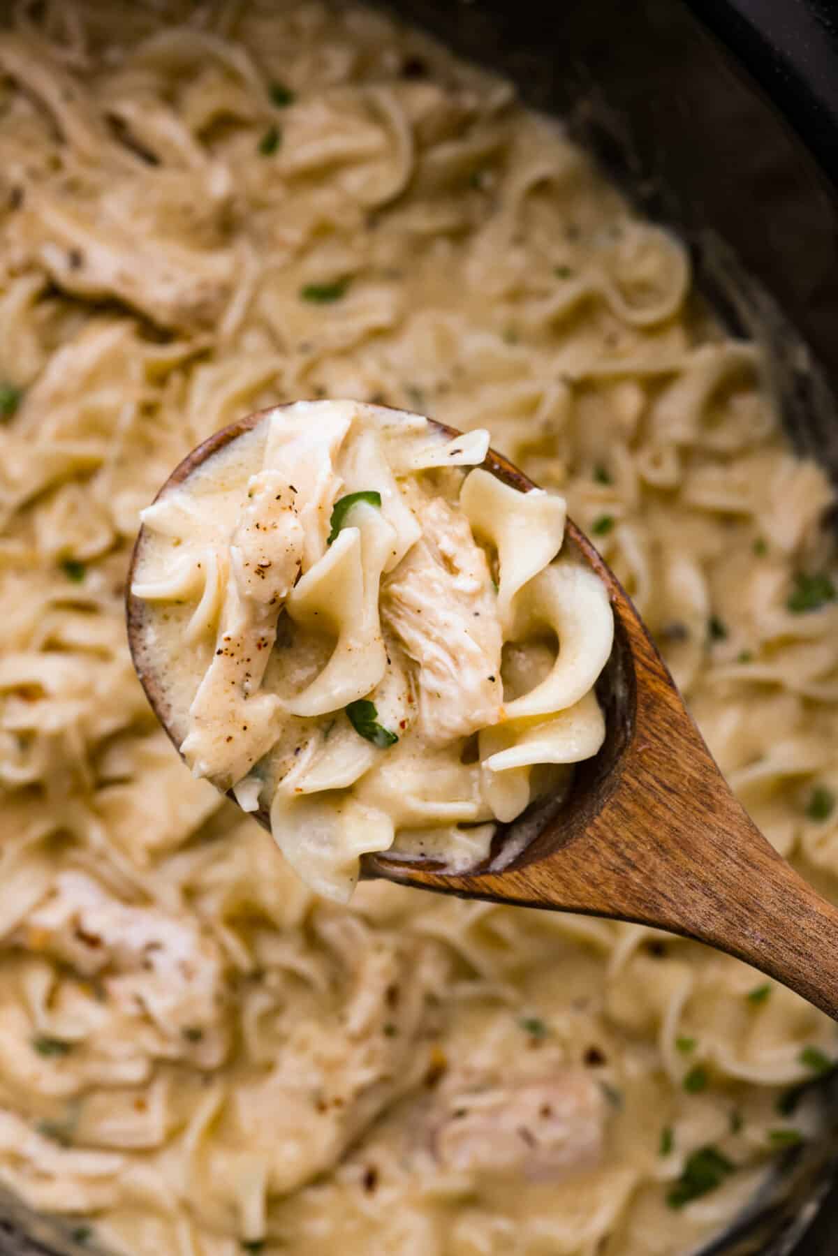 If you’re wondering what to add to the dinner lineup this week, this creamy slow cooker chicken and noodles is the answer! Everything gets cooked in the crockpot (even the noodles!) and the sauce is a tasty mix of cream of chicken soup, garlic, and Italian seasonings! Chicken and noodles in a wooden spoon.