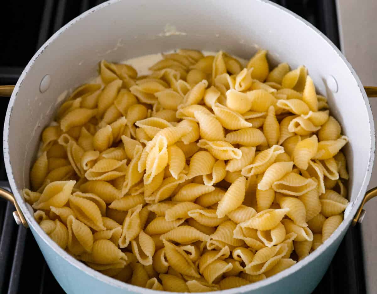 White Cheddar Mac and Cheese is super creamy and filled with rich, decadent flavor. This pasta recipe is the perfect comforting side dish for potlucks, holidays or even weeknight dinners! Cooked pasta shells being added to the cheese mixture