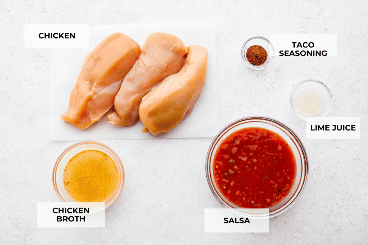 Ingredients to make salsa chicken labeled.