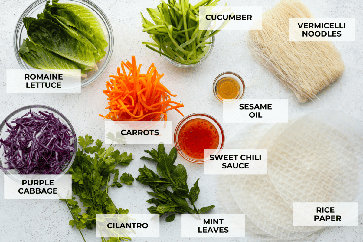Spring rolls are a delightful, fresh, and vibrant snack that's perfect for any occasion. With ingredients like crisp carrots, refreshing mint, and tender rice vermicelli, these rolls are not only healthy but also bursting with flavor. The top view of the individual ingredients laid out and labeled.
