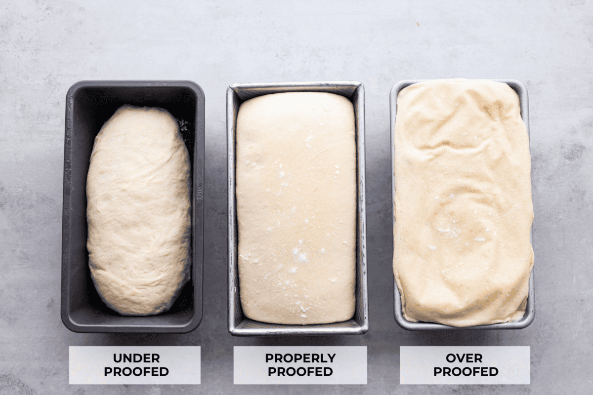 You asked for help with yeast so I have created a "How to Bake with Yeast" guide just for you! Yeast doesn't have to be intimating and I am hoping that by the end of this post you will be an expert! 3 pictures of dough in pans showing how to properly bake with yeast and what under proofed, properly proofed and over proofed dough looks like.