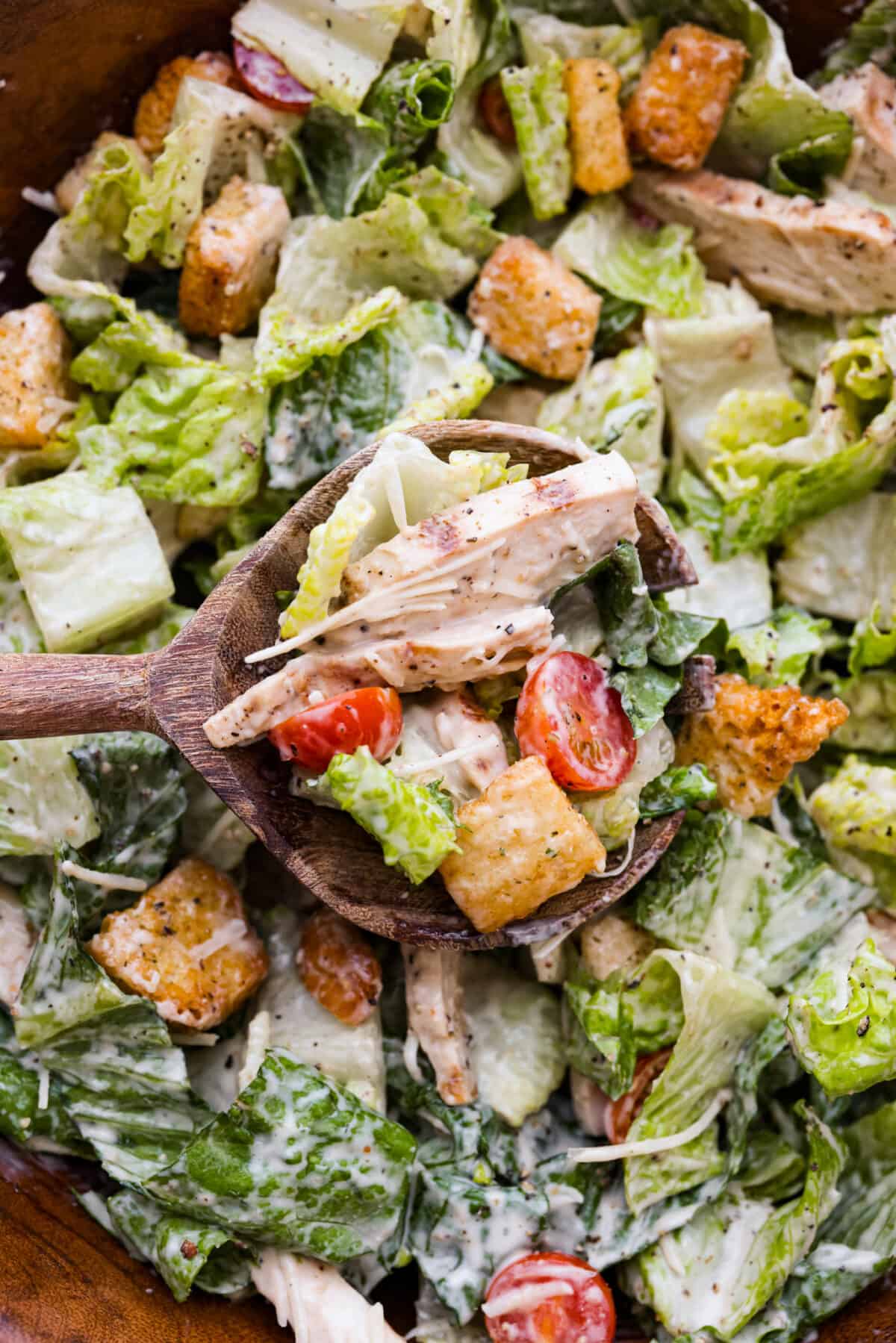 Fresh and delicious Grilled Chicken Caesar Salad is a crowd-pleasing hearty salad with tender grilled chicken, crisp romaine lettuce, cherry tomatoes, shredded parmesan cheese, and crunchy croutons! A close up of grilled chicken caesar salad in a bowl being scooped with a wooden spoon.