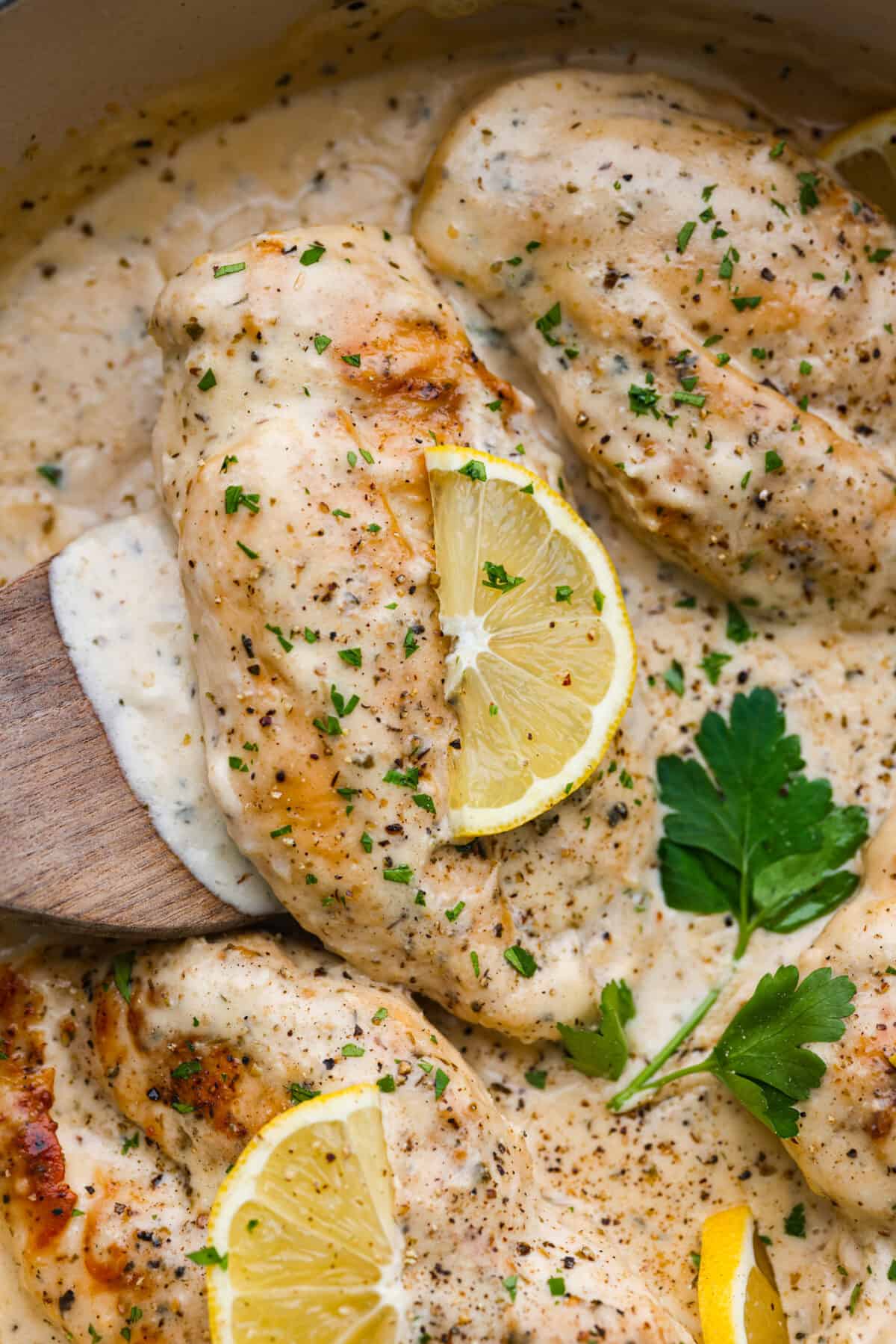 Creamy Lemon Parmesan Chicken is an incredible restaurant-quality meal you can make in under 30 minutes. Tender, juicy chicken is smothered in a creamy lemon parmesan sauce- itโs a meal the family will go crazy for!ย Closeup of a creamy lemon parmesan chicken being lifted out of the pan with a wooden spatula.