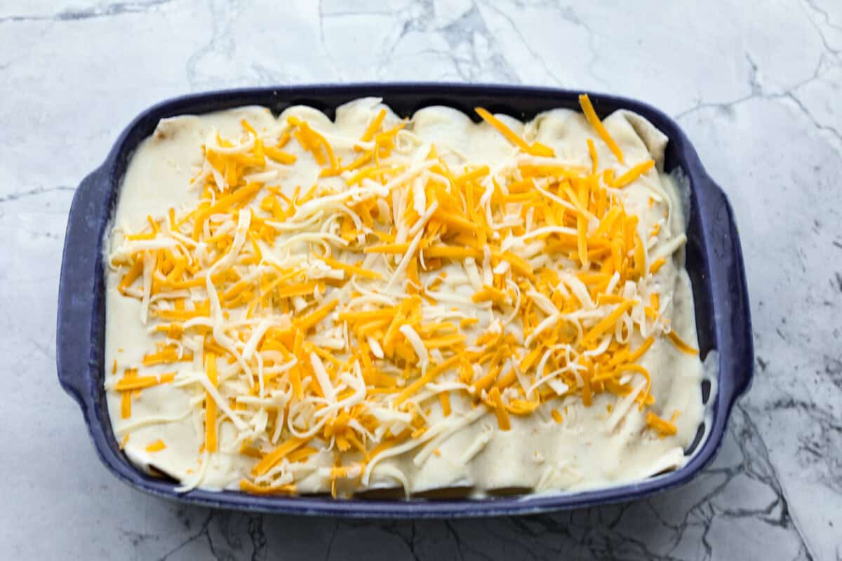 Honey lime chicken enchiladas are a family favorite! These enchiladas are filled with shredded chicken and melty cheese and then smothered in a creamy enchilada sauce. The combination of honey and lime takes these enchiladas to the next level! Sixth photo of the shredded cheese on top of the enchiladas before it bakes.