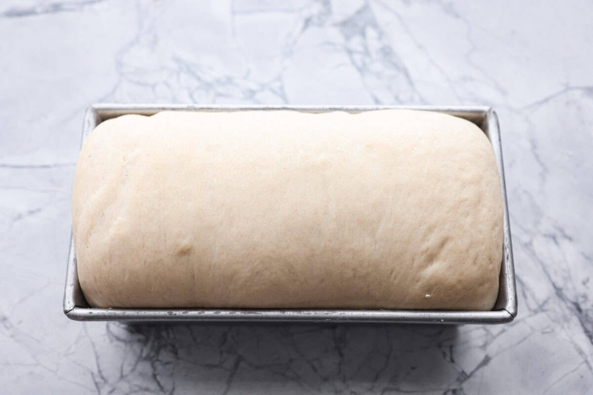You want to make bread, but where do you start? My beginner's guide to baking bread is here to save the day! Feel confidentย at bread-making while I hold your hand through the whole process. Sixth photo of the last rise of the dough in the bread pan before baking the bread.
