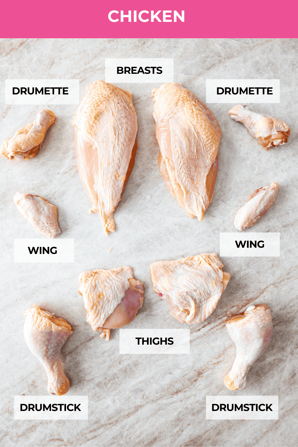 Learn the basics of using meat in the kitchen! I walk you through the different cuts of meat and help you feel confident with your delicious meat recipes. You will LOVE this helpful guide to understanding beef, pork, and chicken! Cuts of chicken labeled.