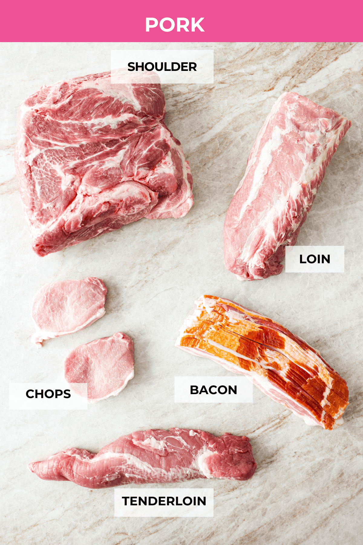 Learn the basics of using meat in the kitchen! I walk you through the different cuts of meat and help you feel confident with your delicious meat recipes. You will LOVE this helpful guide to understanding beef, pork, and chicken! Cuts of pork labeled.