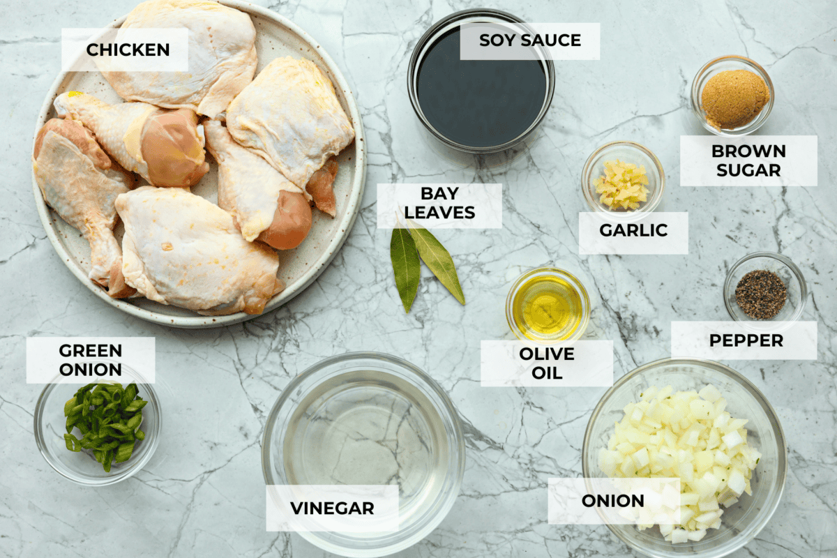 Chicken Adobo is a tangy, salty, sweet, and spicy Filipino dish. This meal is easy to make and requires just a few simple ingredients. It's sure to become a family favorite! Overhead shot of labeled ingredients.
