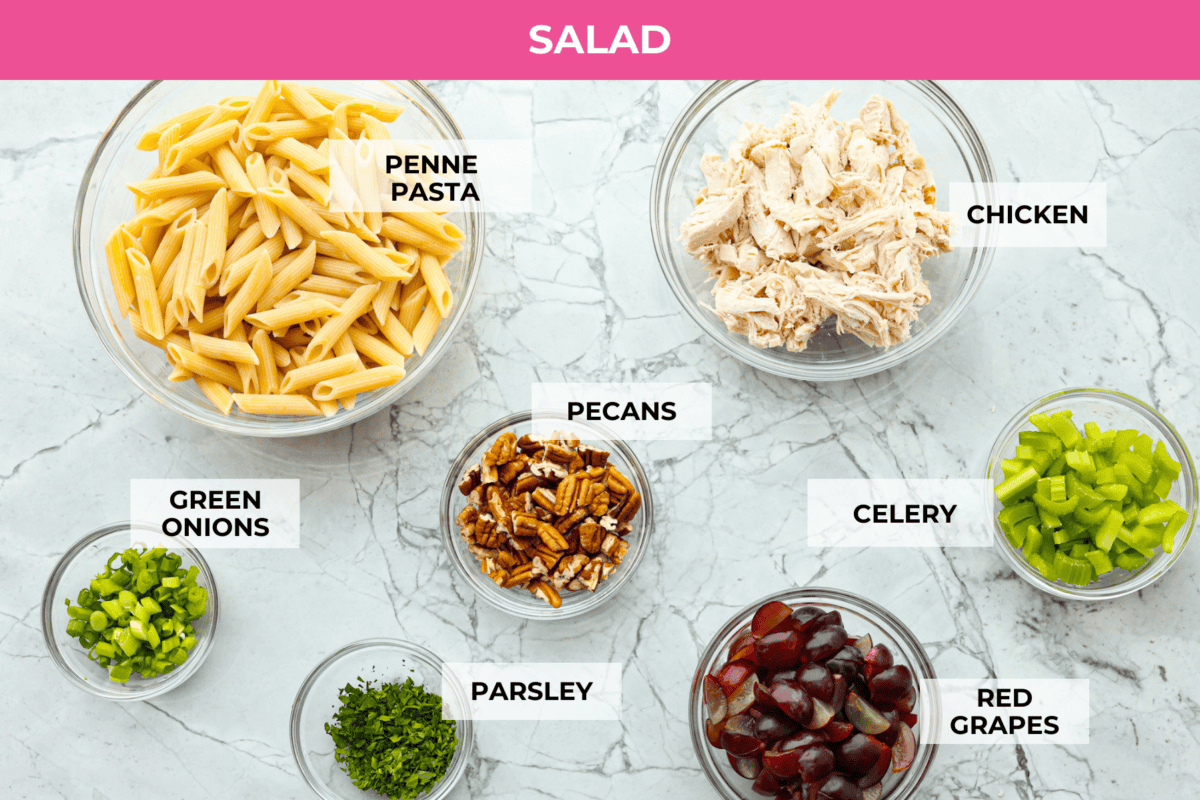 This healthy chicken pasta salad is a fun twist on the classic sandwich recipe. It's filled with penne pasta, tender chunks of chicken breast, crunchy pecans, all tossed in a creamy, sweet dressing. It's the perfect blend of flavors and textures. Overhead shot of labeled ingedients.