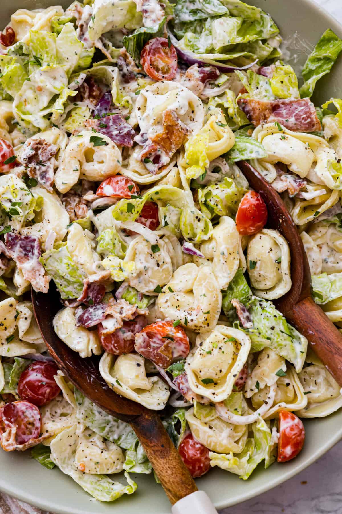 BLT Tortellini Pasta Salad is your favorite sandwich turned into a delicious, refreshing salad you can share with others. This salad is so easy to make and perfect for serving at any gathering. With loads of bacon, crisp Romaine lettuce, juicy tomatoes, and cheese-filled tortellini, it's sure to be a hit! Close up shot of BLT tortellini pasta salad with two wooden serving spoons.
