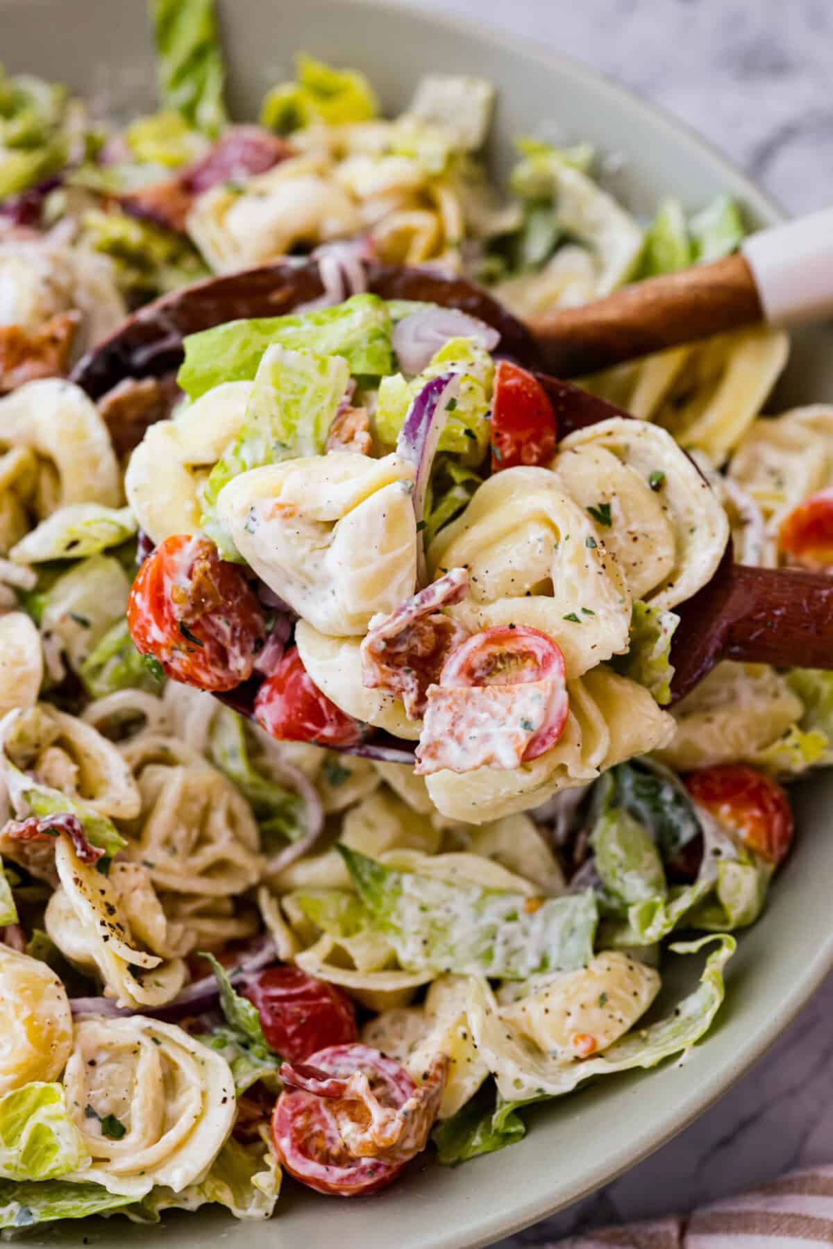 BLT Tortellini Pasta Salad is your favorite sandwich turned into a delicious, refreshing salad you can share with others. This salad is so easy to make and perfect for serving at any gathering. With loads of bacon, crisp Romaine lettuce, juicy tomatoes, and cheese-filled tortellini, it's sure to be a hit! Angle shot of a spoon getting scoop of tortellini salad from large bowl.
