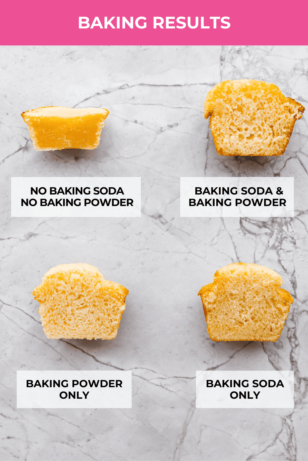 Baking soda vs baking powder....what is the difference? I'm here to teach you the basics of each so that you can improve your baking skills. Learn the whys, hows, and when they're important to achieving delicious recipes. Muffin baking results of using baking soda and baking powder.