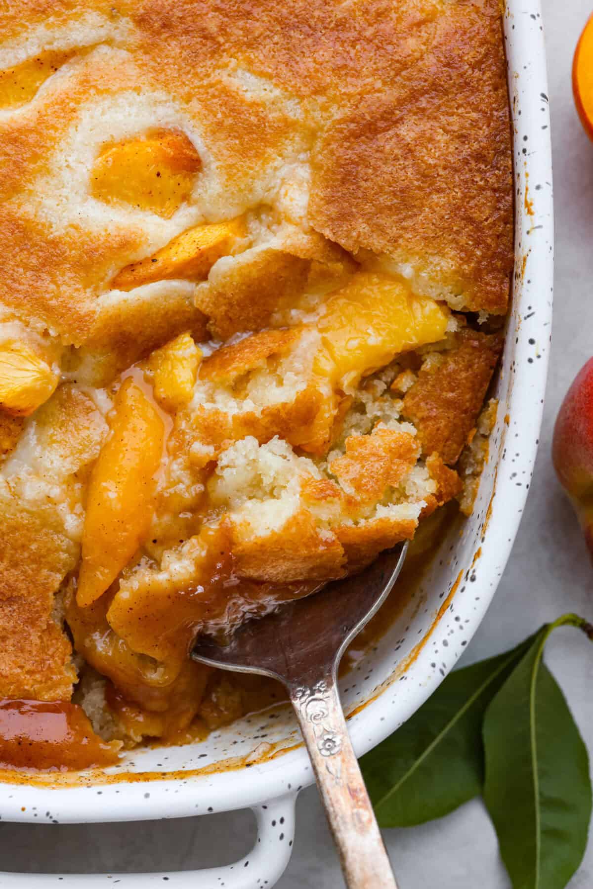 Old-fashioned peach cobbler is a timeless summer dessert! Its warm, cakey layers baked with freshly sliced peaches are a match made in heaven. Top the cobbler with vanilla ice cream, and every bite will be a delight! Close up shot of old fashioned peach cobbler being scooped out of backing dish.
