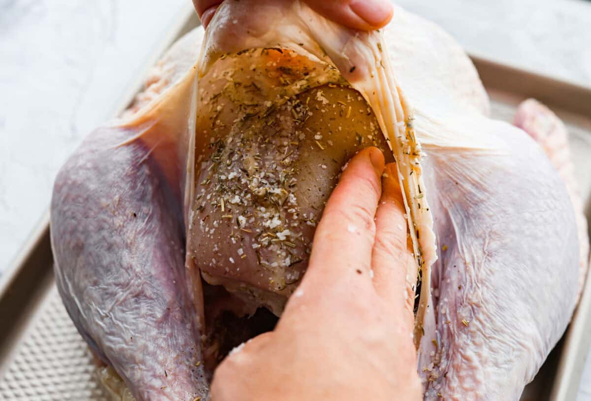 When you dry brine your turkey, you end up with a beautifully browned bird with crispy skin on the outside and juicy, flavorful meat on the inside! It will for sure be one of the most flavorful, moist turkeys you've ever had! Close up shot of someone holding up the skin of the turkey and spreading the salt and seasoning mix on the bird.