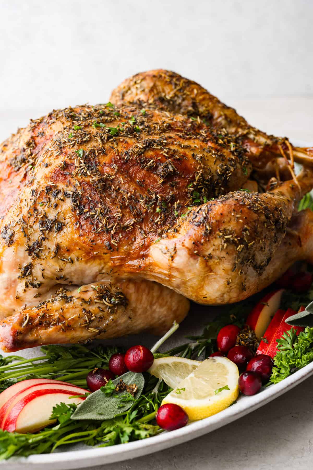 Look no further! This roasted turkey recipe is the absolute juiciest, fool-proof turkey recipe you will ever need. You'll have the confidence to make a perfect turkey every time. This deliciously seasoned turkey will be the star of your Thanksgiving meal! Close side view of the turkey on a platter.