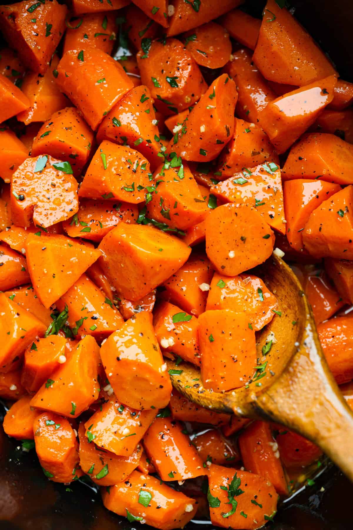 These crockpot carrots will become fork-tender from slowly cooking in your crockpot all day. The carrots have a delicious sweet and savory flavor from the sticky honey and bold garlic, all slathered in butter. They are the perfect side for your next Thanksgiving or Easter feast. Close up shot of crockpot carrots.