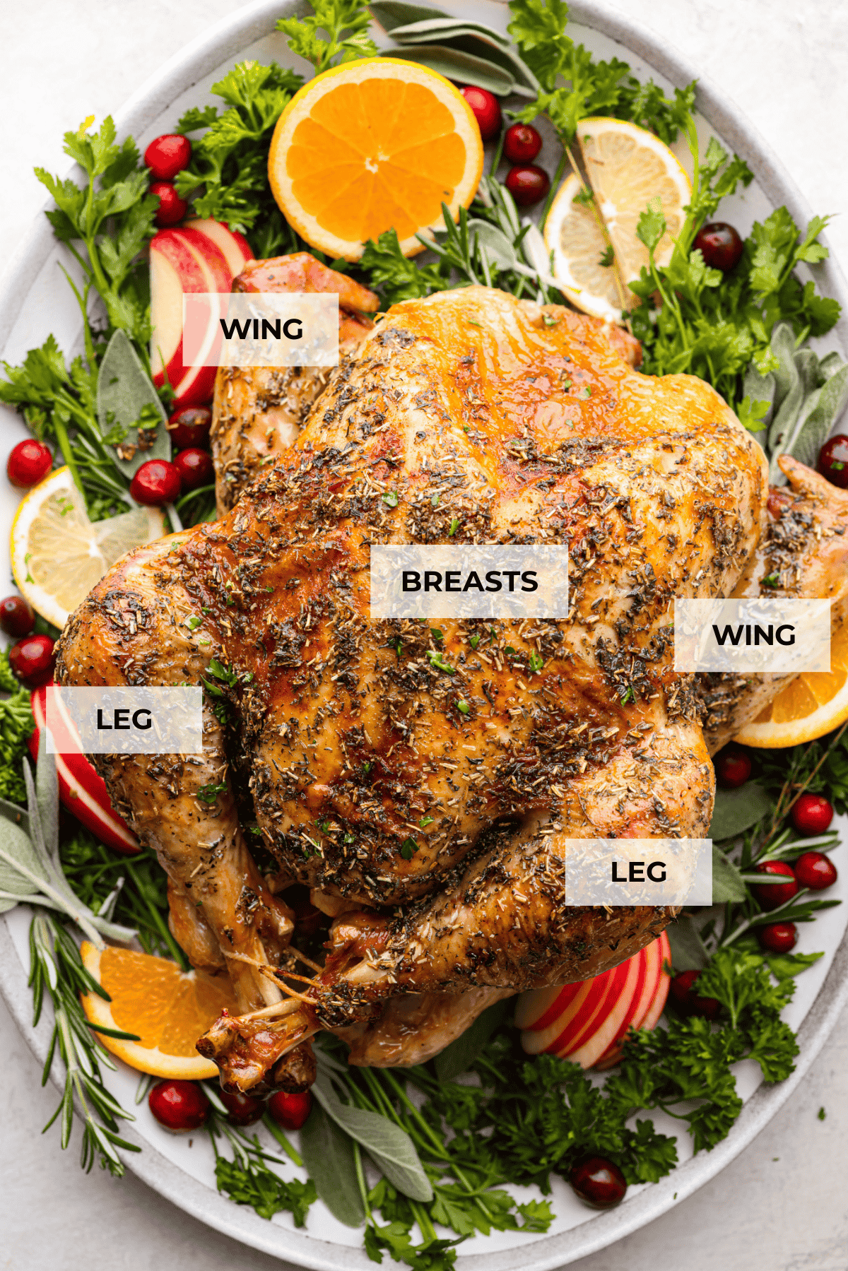 Learning how to carve a turkey is easier than you think! My step-by-step tutorial is here to help you along the way. Impress your guests with your beautifully carved turkey. Top view of a roasted turkey on a platter with labeled pieces.