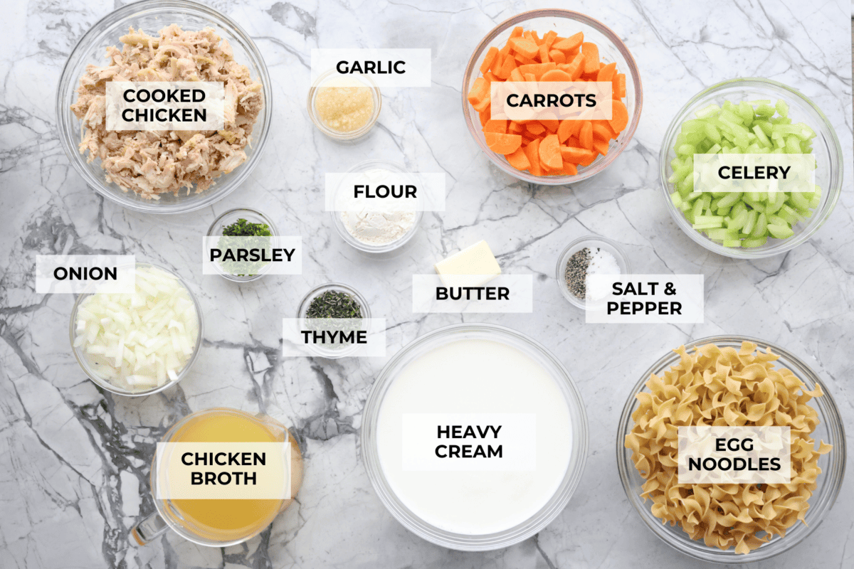 This creamy chicken noodle soup tastes exactly how it sounds! It's classic chicken noodle soup but creamy, rich and filling! Loaded with hearty chicken, tender carrots, supple noodles, and lots of delicious flavors, it's perfect for winter! Overhead shot of labeled ingredients.
