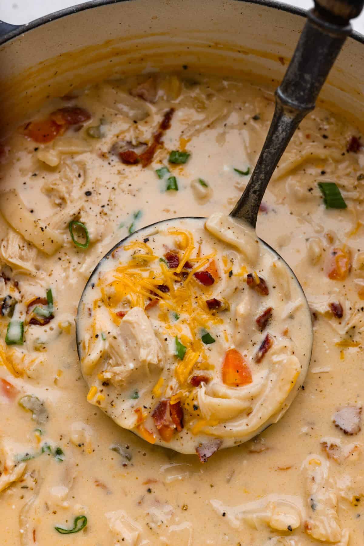 This crack chicken noodle soup is absolutely irresistible! It's packed with shredded chicken, bacon, ranch seasonings, and noodles, all in a deliciously creamy broth. One bite, and you'll be hooked! Close up shot of a ladle lifting a scoop of crack chicken noodle soup out of the pot.