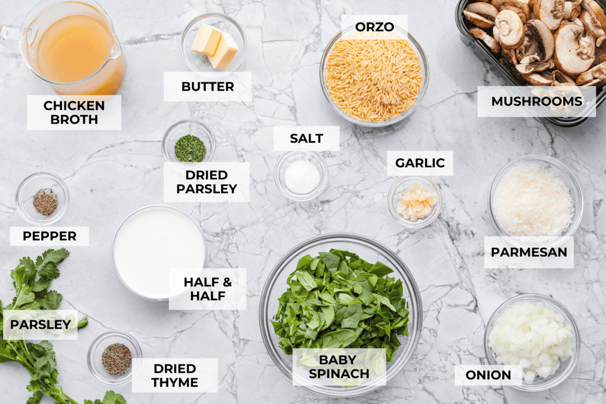 Mushroom orzo is a tasty, comforting side dish! It combines tender orzo pasta with rich, earthy mushrooms in a creamy sauce. It’s easy to make and sure to impress with satisfying texture and savory flavors. Overhead shot of labeled ingredients.