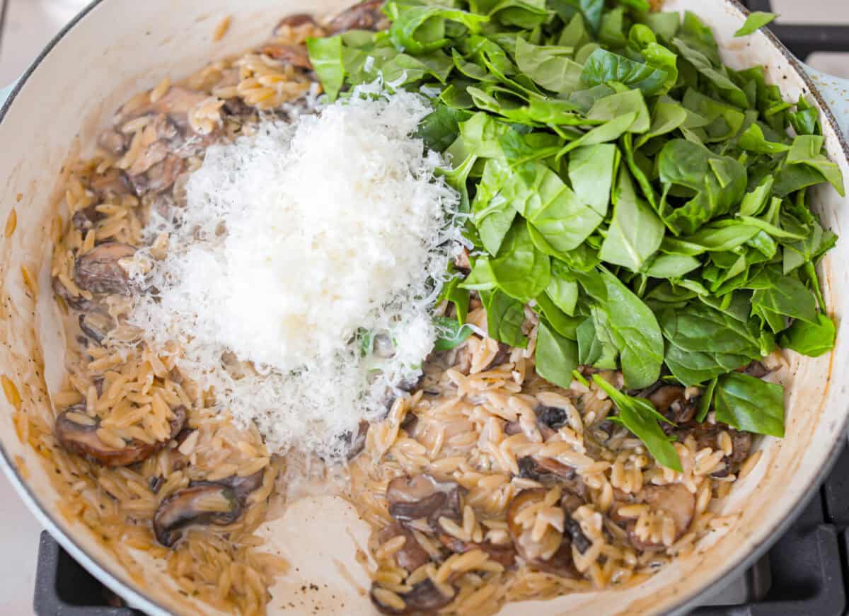 Mushroom orzo is a tasty, comforting side dish! It combines tender orzo pasta with rich, earthy mushrooms in a creamy sauce. It’s easy to make and sure to impress with satisfying texture and savory flavors. Close up shot of cooked mushrooms and orzo with cheese and spinach on top.
