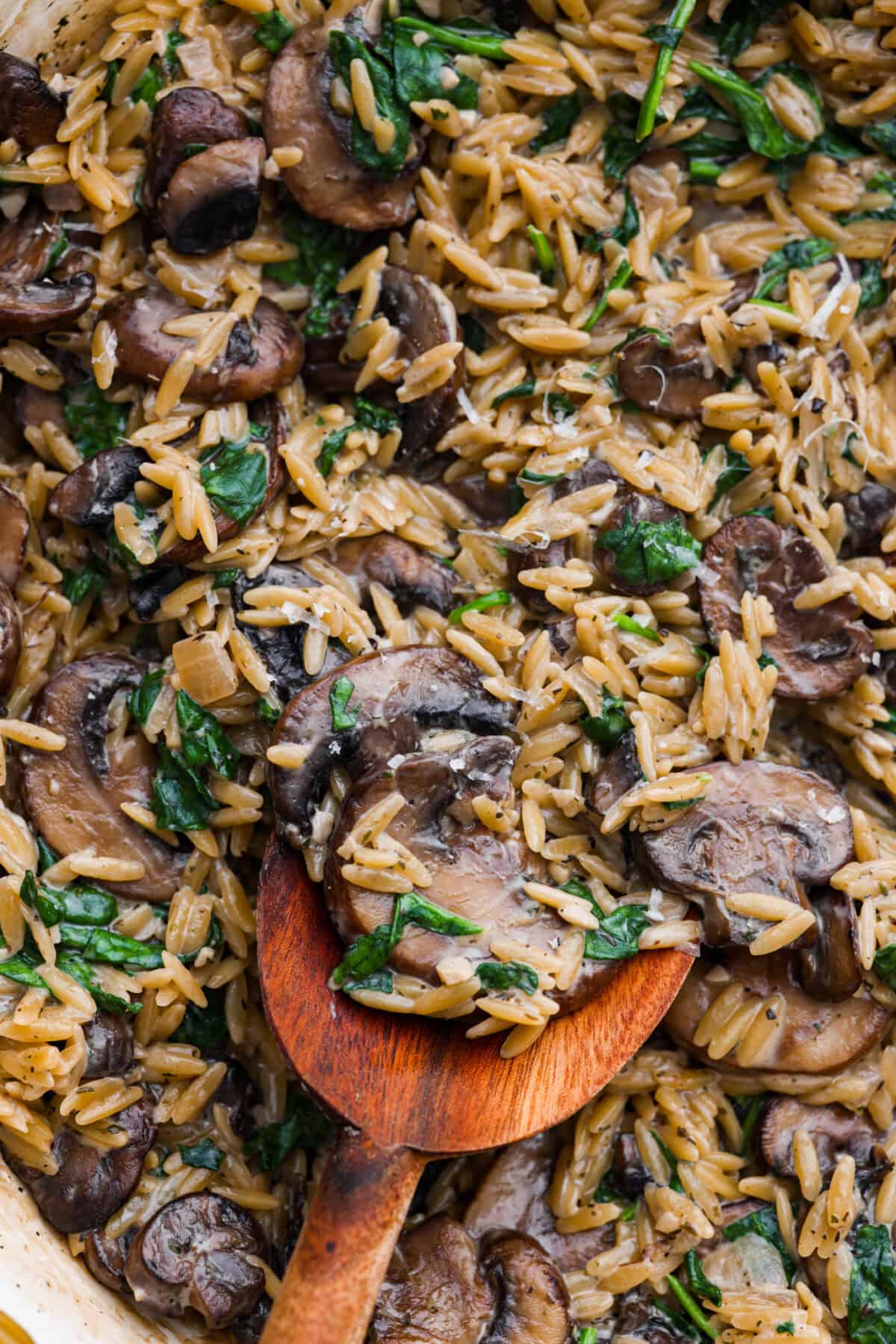Mushroom orzo is a tasty, comforting side dish! It combines tender orzo pasta with rich, earthy mushrooms in a creamy sauce. It’s easy to make and sure to impress with satisfying texture and savory flavors. Close up shot of mushroom orzo.