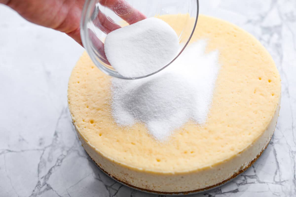 Creme Brulee Cheesecake is the perfect merging of two beloved desserts! It has the rich, creamy texture of cheesecake with the caramelized sugar topping of classic crรจme brรปlรฉe. This irresistible treat is the best of both worlds! Angle shot of someone pouring sugar on top of the cooled cheesecake.