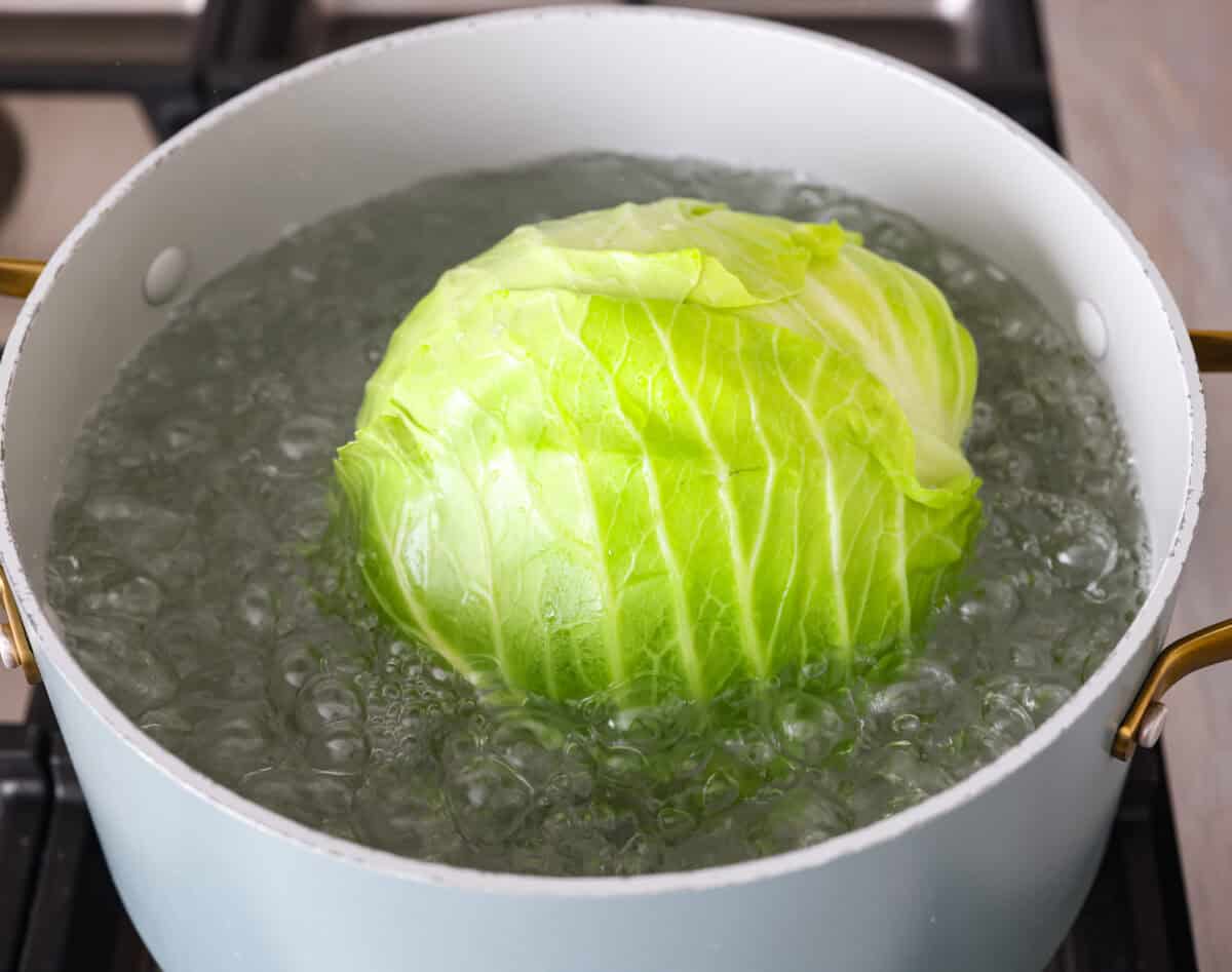 Hungarian cabbage rolls are packed with rich, hearty flavors in every bite! I know you love a good cabbage roll and can’t get enough of my Hungarian goulash, so I knew this recipe would be perfect. Angle shot of a head of cabbage in a pot of boiling water.