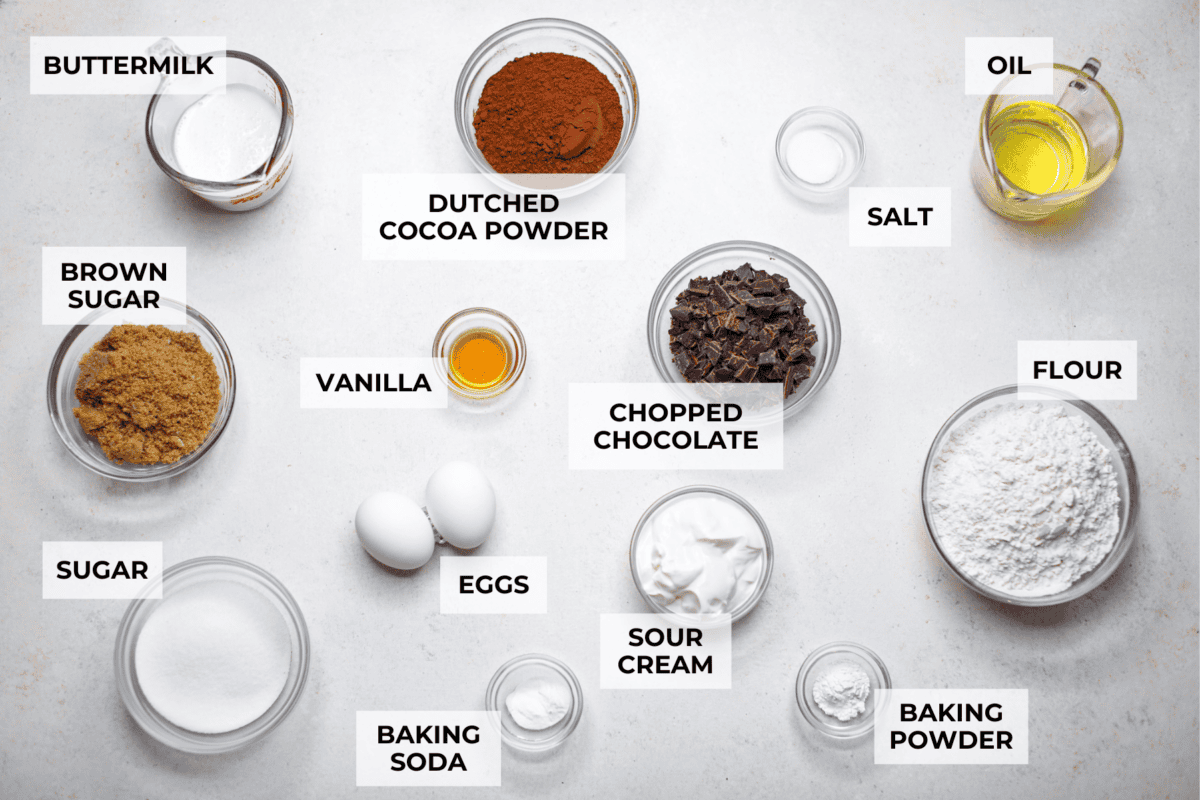 These double chocolate muffins are rich, moist, and packed with deep chocolate flavor! They are the perfect treat for breakfast, snack time, or dessert. They come together with simple ingredients and bake up beautifully with a soft, tender crumb in less than an hour! Overhead shot of labeled chocolate muffin ingredients.